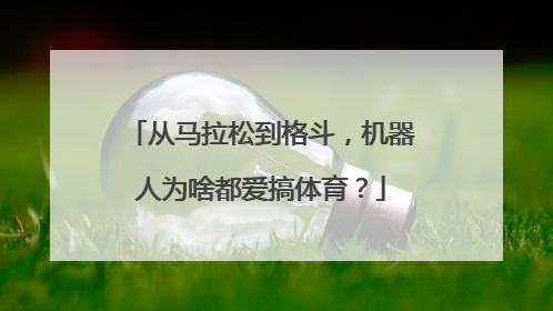 从马拉松到格斗，机器人为啥都爱搞体育？