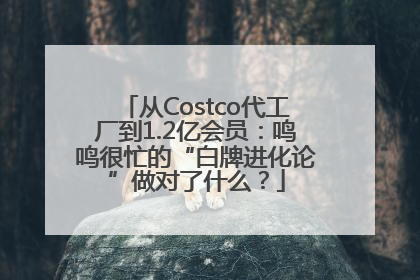 从Costco代工厂到1.2亿会员：鸣鸣很忙的“白牌进化论”做对了什么？