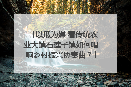 以瓜为媒 看传统农业大镇石莲子镇如何唱响乡村振兴协奏曲？