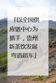 以全国供应链中心为抓手，贵州新茶饮发展弯道超车