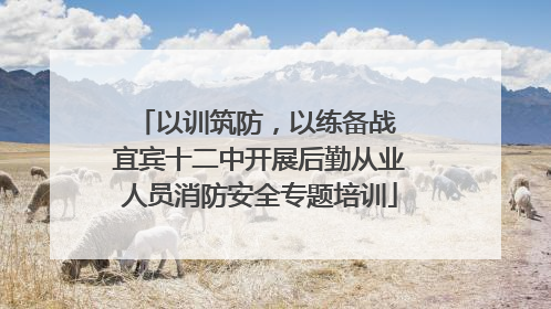 以训筑防，以练备战 宜宾十二中开展后勤从业人员消防安全专题培训