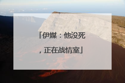 伊媒：他没死，正在战情室