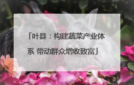 叶县：构建蔬菜产业体系 带动群众增收致富
