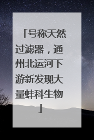号称天然过滤器，通州北运河下游新发现大量蚌科生物