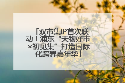 双市集IP首次联动！浦东“天物好市×初见集”打造国际化跨界嘉年华