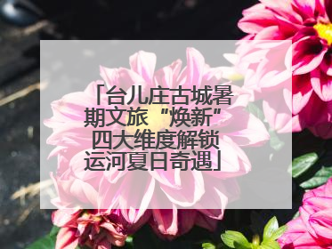 台儿庄古城暑期文旅“焕新” 四大维度解锁运河夏日奇遇