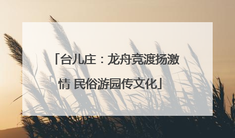 台儿庄：龙舟竞渡扬激情 民俗游园传文化