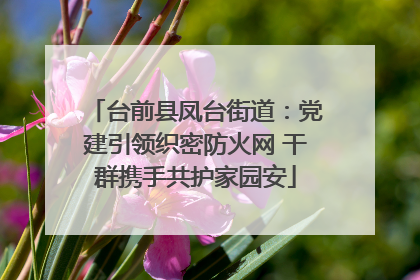 台前县凤台街道：党建引领织密防火网 干群携手共护家园安