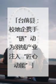 台前县：校地企携手“链”动 为羽绒产业注入“匠心动能”