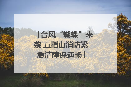 台风“蝴蝶”来袭 五指山消防紧急清障保通畅