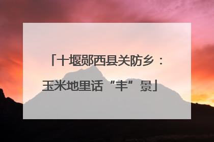 十堰郧西县关防乡：玉米地里话“丰”景