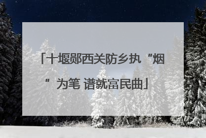 十堰郧西关防乡执“烟”为笔 谱就富民曲