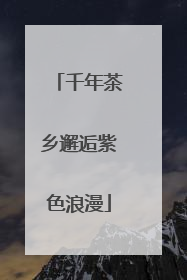 千年茶乡邂逅紫色浪漫