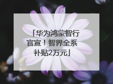 华为鸿蒙智行官宣！智界全系补贴2万元