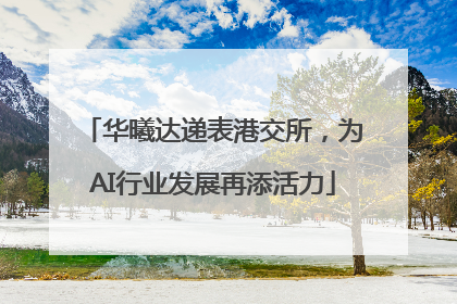 华曦达递表港交所，为AI行业发展再添活力