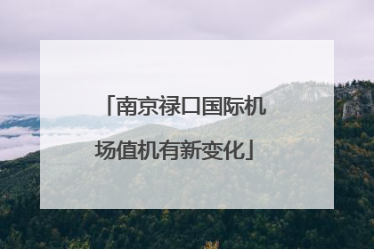 南京禄口国际机场值机有新变化