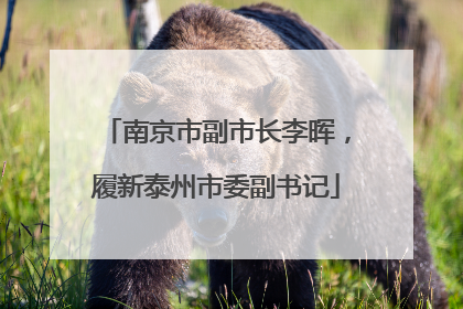 南京市副市长李晖，履新泰州市委副书记