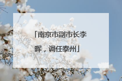 南京市副市长李晖，调任泰州