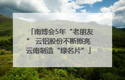 南博会5年“老朋友” 云铝股份不断擦亮云南制造“绿名片”
