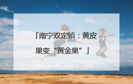 南宁双定镇：黄皮果变“黄金果”