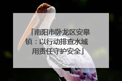 南阳市卧龙区安皋镇：以行动排查水域 用责任守护安全