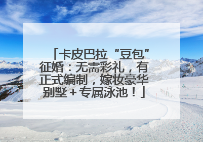 卡皮巴拉“豆包”征婚：无需彩礼，有正式编制，嫁妆豪华别墅＋专属泳池！