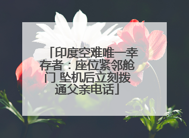 印度空难唯一幸存者：座位紧邻舱门 坠机后立刻拨通父亲电话