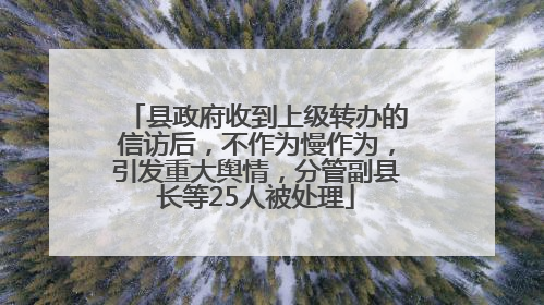 县政府收到上级转办的信访后，不作为慢作为，引发重大舆情，分管副县长等25人被处理