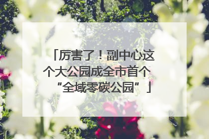 厉害了！副中心这个大公园成全市首个“全域零碳公园”