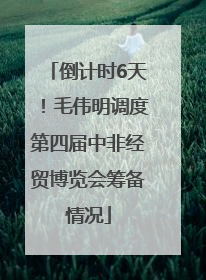 倒计时6天！毛伟明调度第四届中非经贸博览会筹备情况