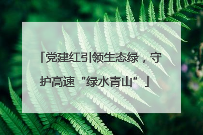 党建红引领生态绿，守护高速“绿水青山”
