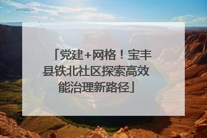 党建+网格！宝丰县铁北社区探索高效能治理新路径