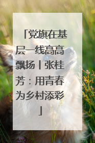 党旗在基层一线高高飘扬丨张桂芳：用青春为乡村添彩