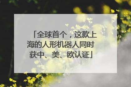 全球首个，这款上海的人形机器人同时获中、美、欧认证