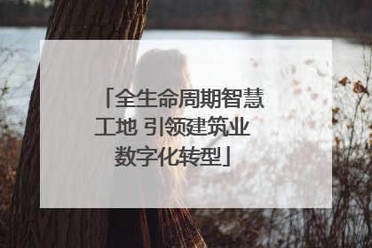全生命周期智慧工地 引领建筑业数字化转型