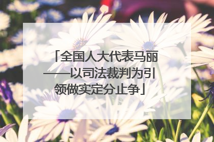 全国人大代表马丽——以司法裁判为引领做实定分止争