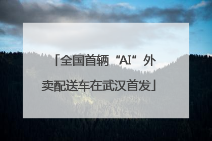 全国首辆“AI”外卖配送车在武汉首发