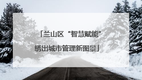 兰山区“智慧赋能”绣出城市管理新图景