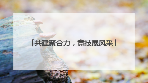 共建聚合力，竞技展风采