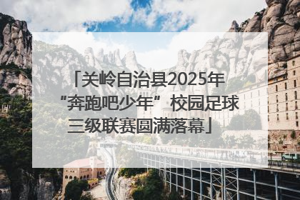 关岭自治县2025年“奔跑吧少年”校园足球三级联赛圆满落幕