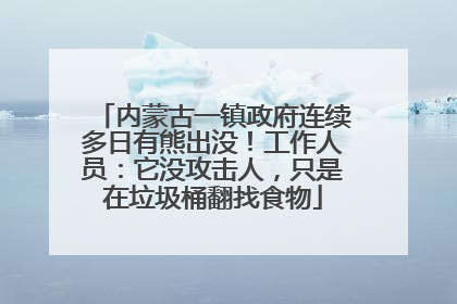 内蒙古一镇政府连续多日有熊出没！工作人员：它没攻击人，只是在垃圾桶翻找食物
