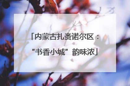 内蒙古扎赉诺尔区：“书香小城”韵味浓