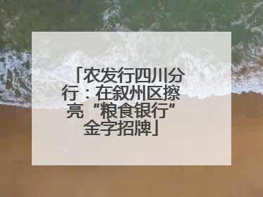 农发行四川分行：在叙州区擦亮“粮食银行”金字招牌