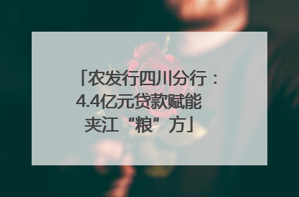 农发行四川分行：4.4亿元贷款赋能夹江“粮”方