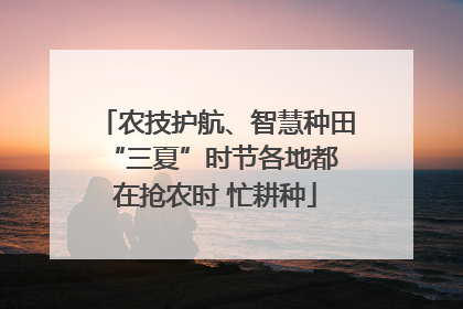 农技护航、智慧种田 “三夏”时节各地都在抢农时 忙耕种