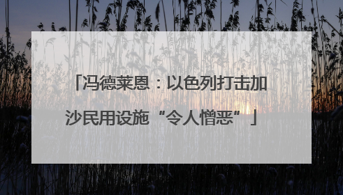 冯德莱恩：以色列打击加沙民用设施“令人憎恶”