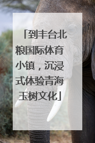 到丰台北粮国际体育小镇，沉浸式体验青海玉树文化