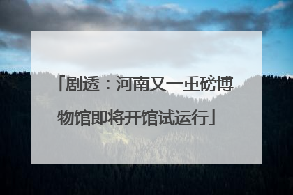 剧透：河南又一重磅博物馆即将开馆试运行