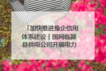 加快推进豫企信用体系建设｜国网临颍县供电公司开展电力行业信用企业现场咨询访谈工作