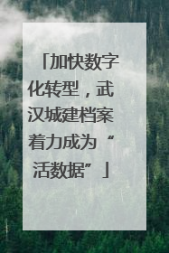 加快数字化转型，武汉城建档案着力成为“活数据”
